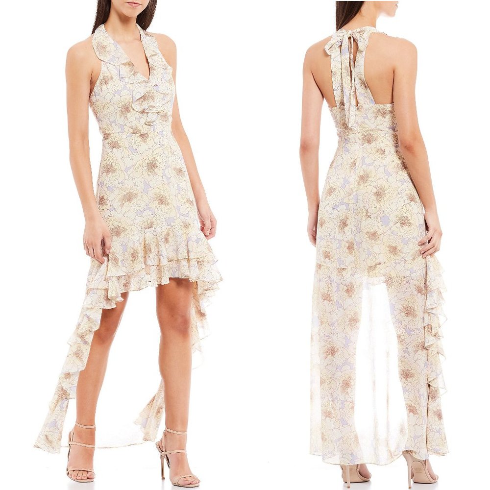 NWT Badgley Mischka Naty Halter V-Neck Hi-Lo Dress Size 6 & 8 MSRP $200